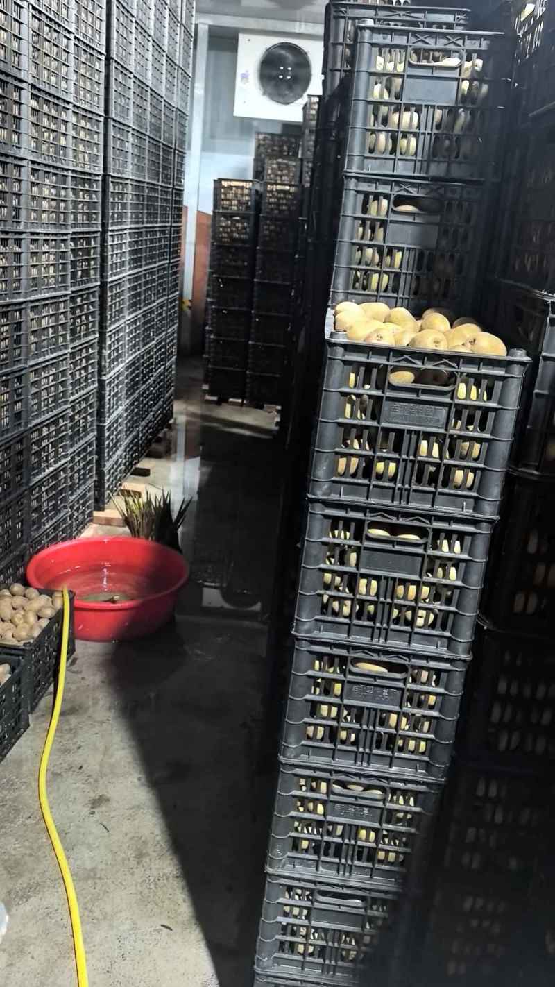 米猕猴桃