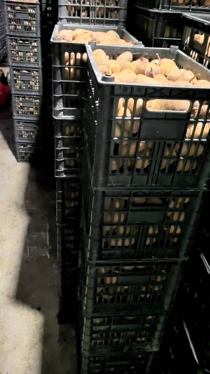 米猕猴桃