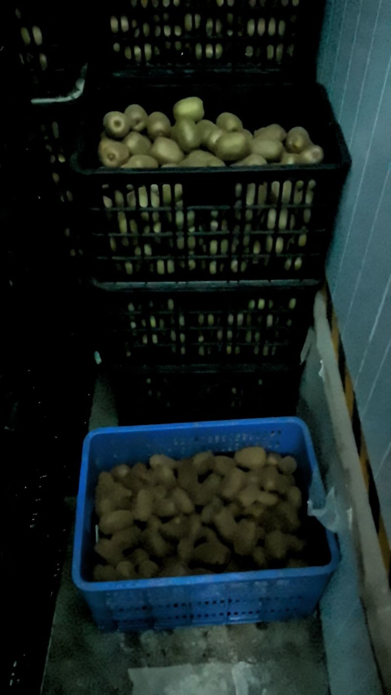 米猕猴桃