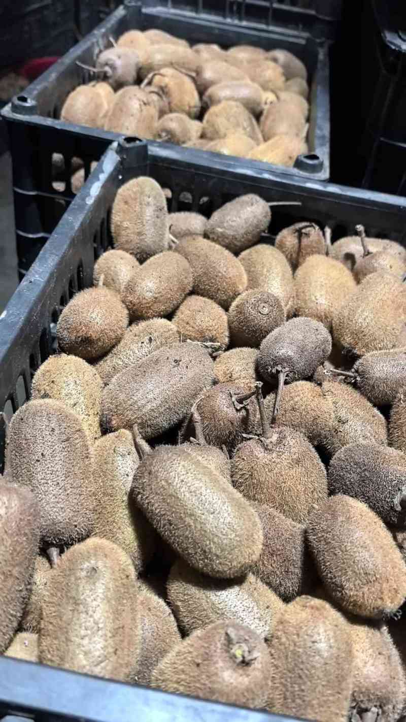 米猕猴桃