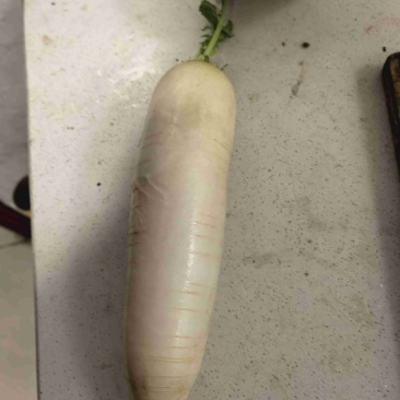 白萝卜