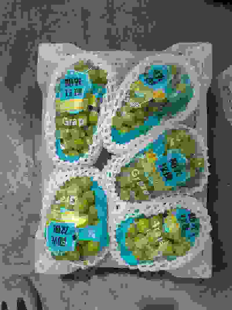 阳光玫瑰