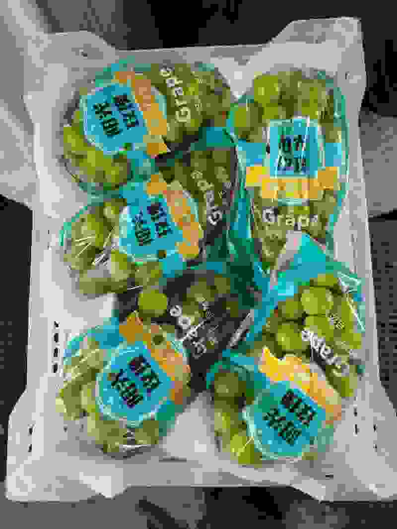 阳光玫瑰