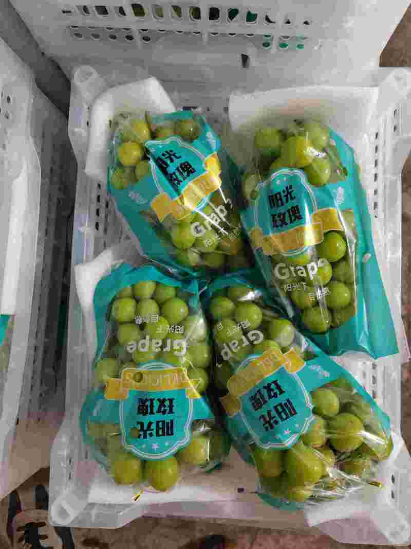 阳光玫瑰