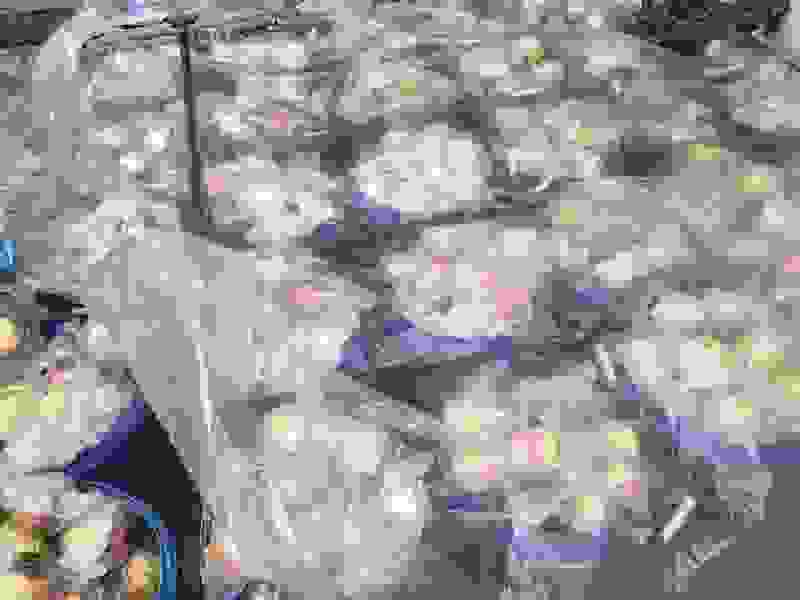 云南蒙自甜石榴