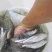 马口鱼、桃花鱼