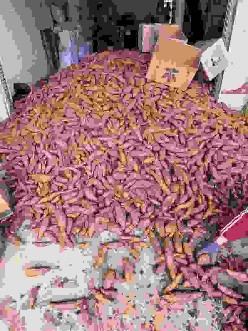大量供应西瓜红基地货