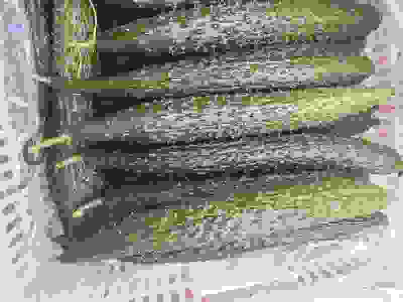 黄瓜