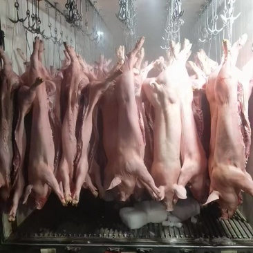 江西猪仔肉