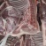江西猪仔肉