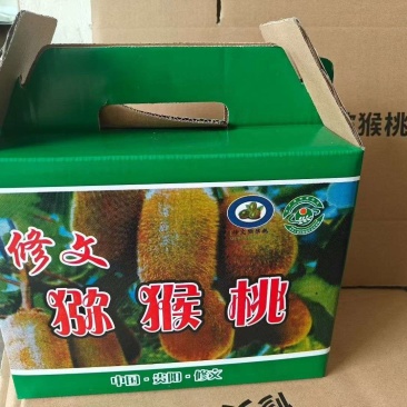 修文贵长猕猴桃