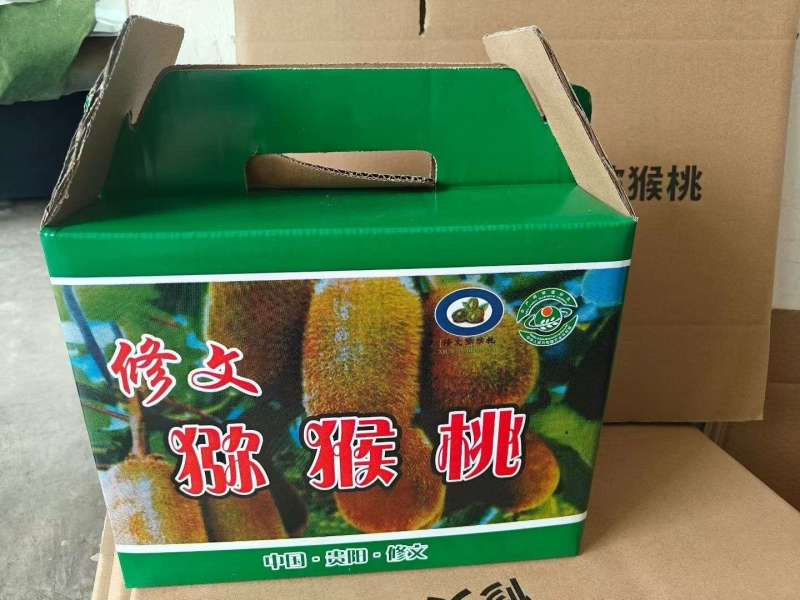 修文贵长猕猴桃