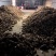 冰糖蜜薯，白哈密