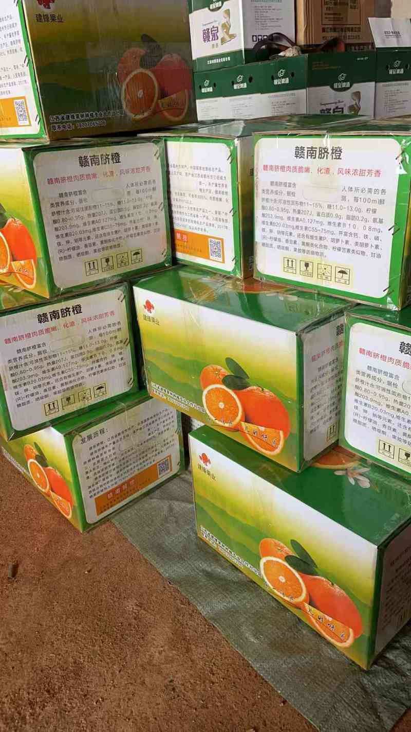 脐橙一件代发，招分销