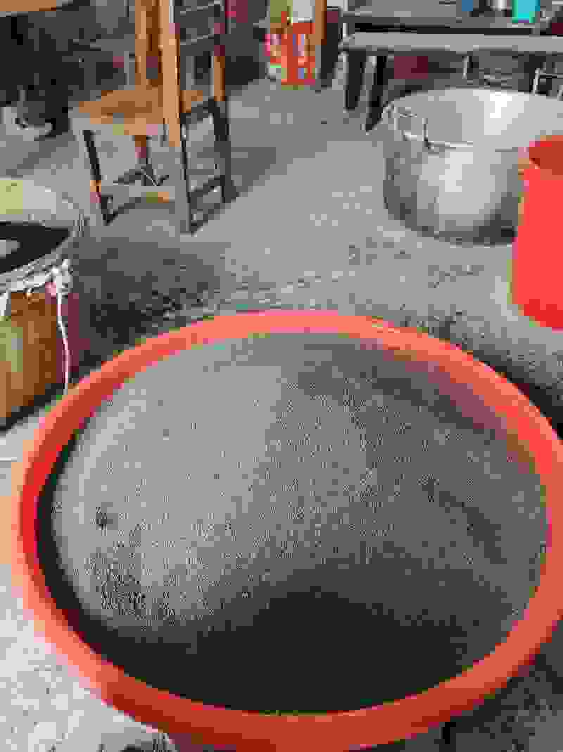 紫苏种子
