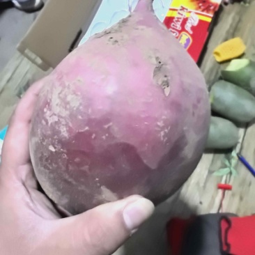 水果萝卜冰淇淋萝卜