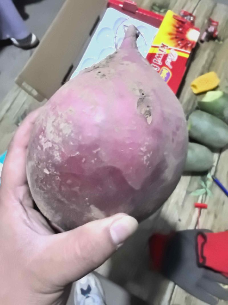 水果萝卜冰淇淋萝卜