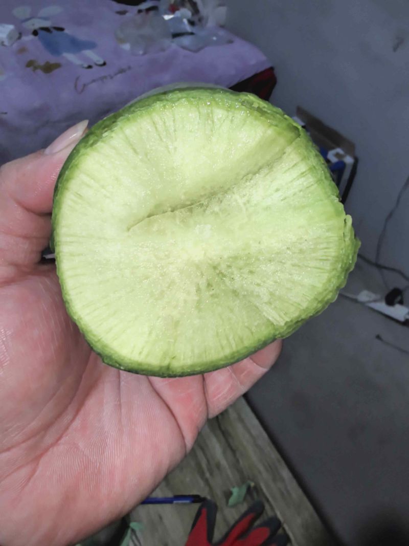 水果萝卜冰淇淋萝卜