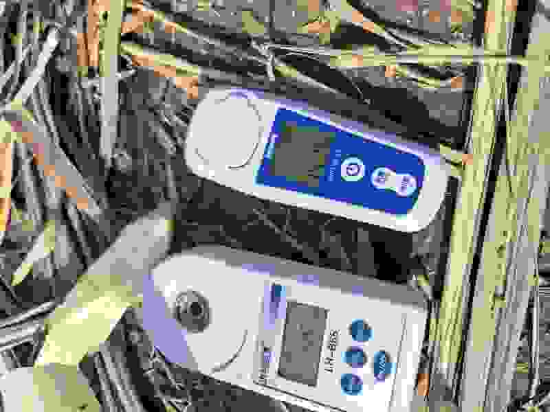 湖北产区甘蔗大量上市了