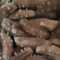 即食海参，残参，价格美丽，经济实惠。