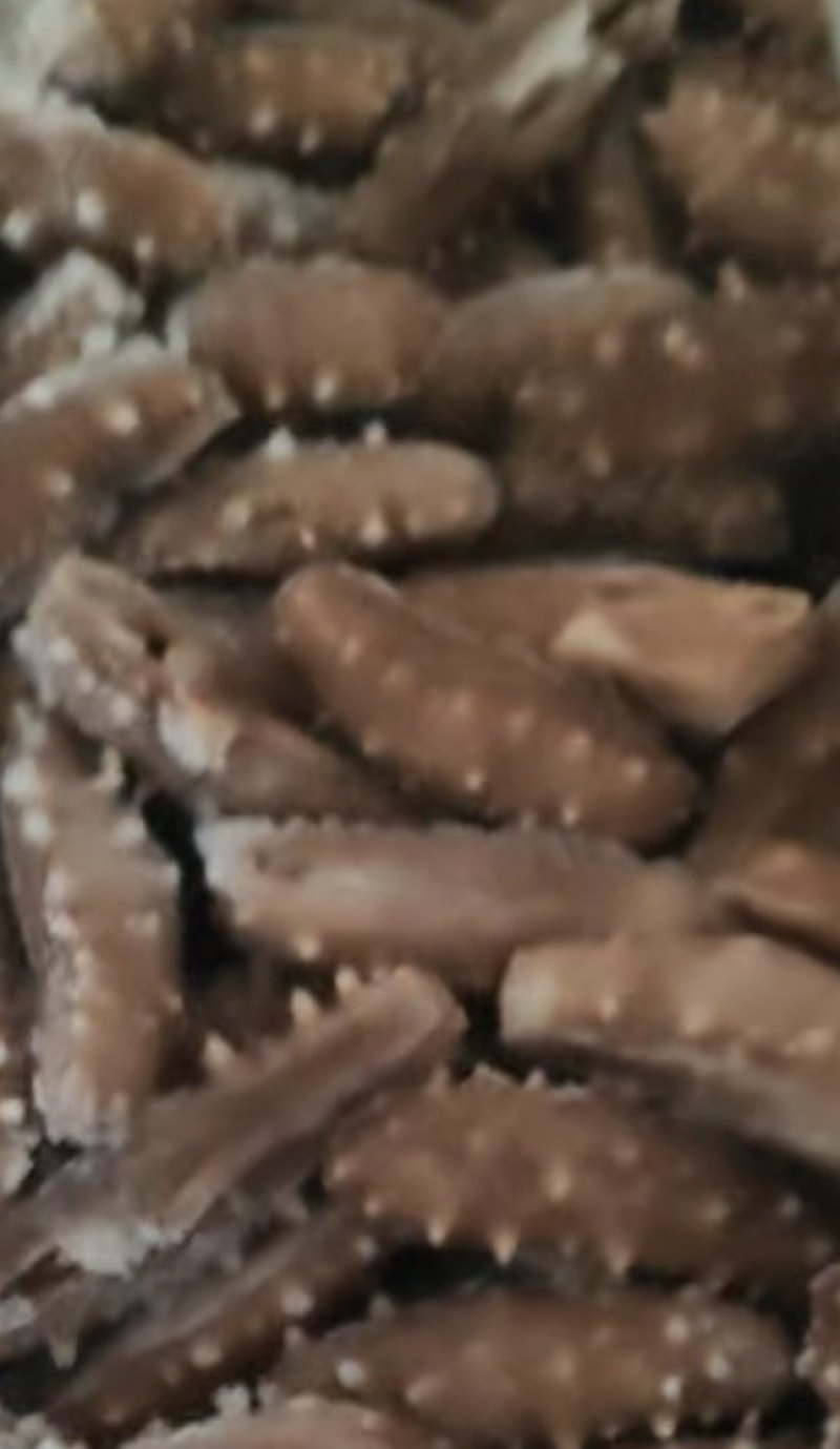 即食海参，残参，价格美丽，经济实惠。