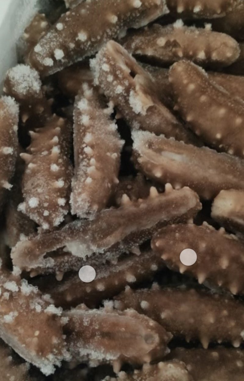 即食海参，残参，价格美丽，经济实惠。