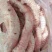 牛肺管，标准件，20斤一版