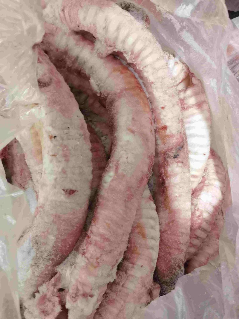 牛肺管，标准件，20斤一版
