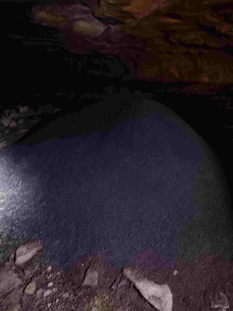 夜明砂