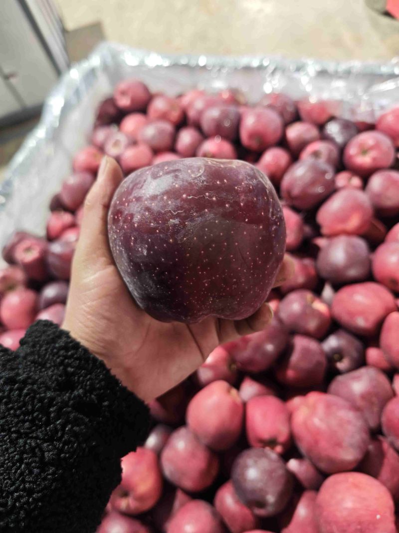 天水精品花牛苹果
