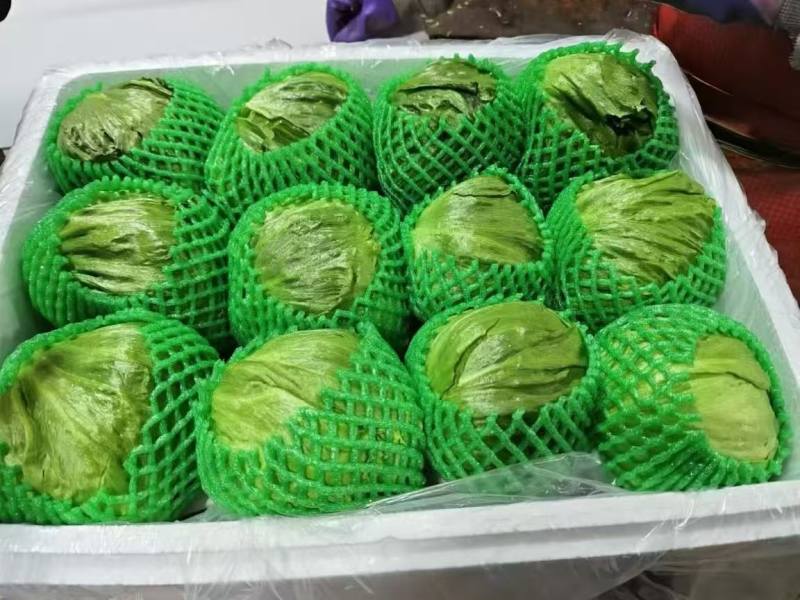 精品球生菜