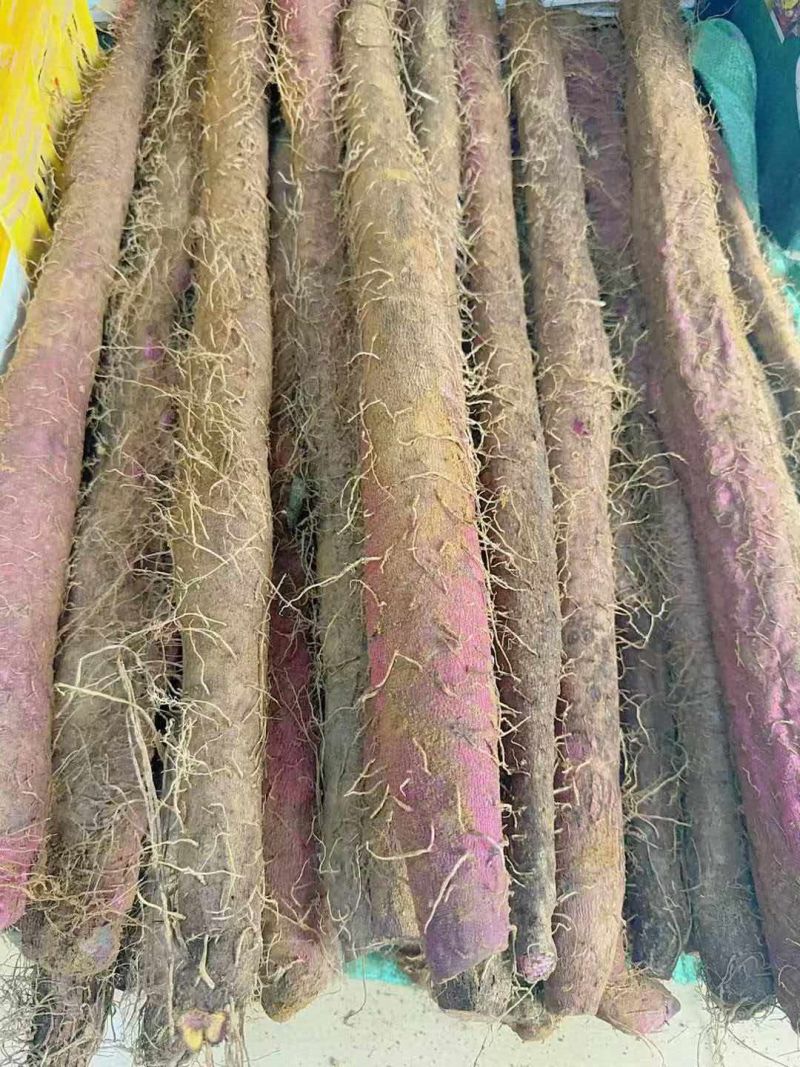 德庆紫玉淮山新鲜挖