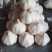 金乡白蒜