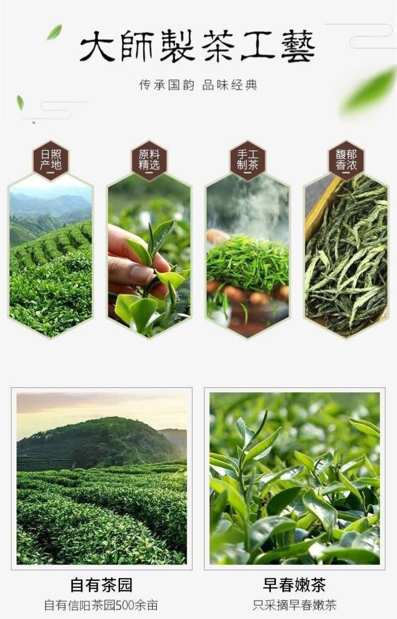 信阳毛尖茶叶2026年雨春茶口粮茶500克散装包邮
