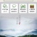信阳毛尖茶叶2026年雨春茶口粮茶500克散装包邮
