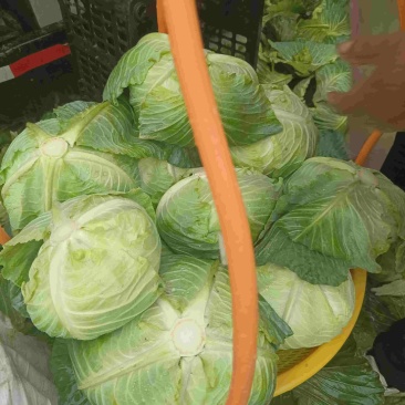 大量上市