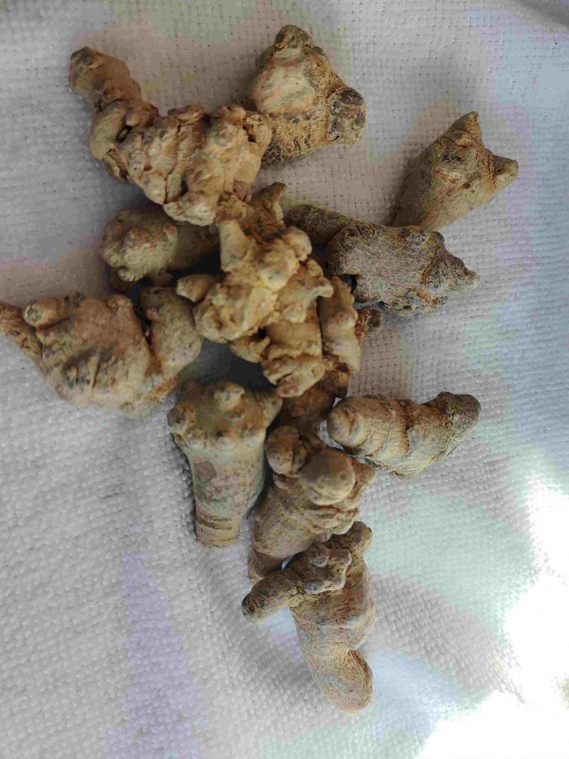 云南文山三七正品可磨细粉
