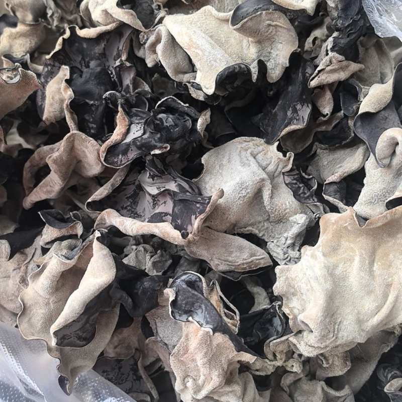 精品头茬毛木耳脆木耳