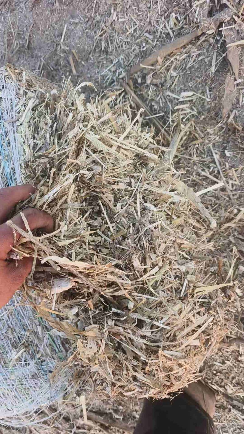 玉米秸秆揉丝或俩道绳