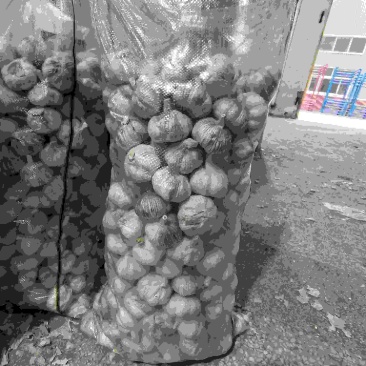 金乡大蒜市场货