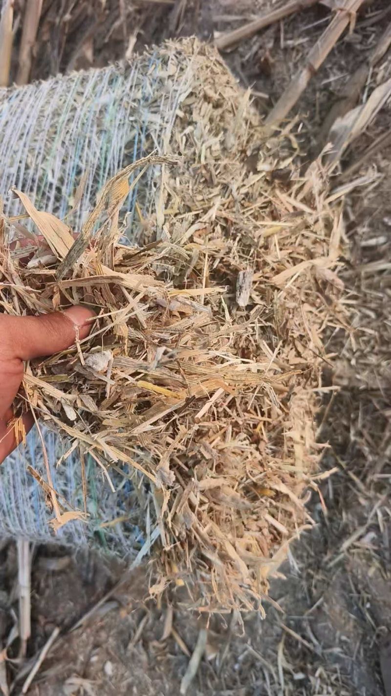 玉米秸秆揉丝网包