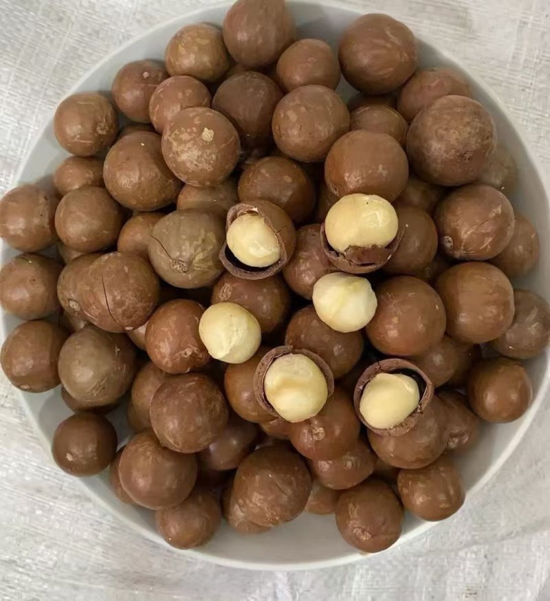 夏威夷果支持一件代发价格优势大