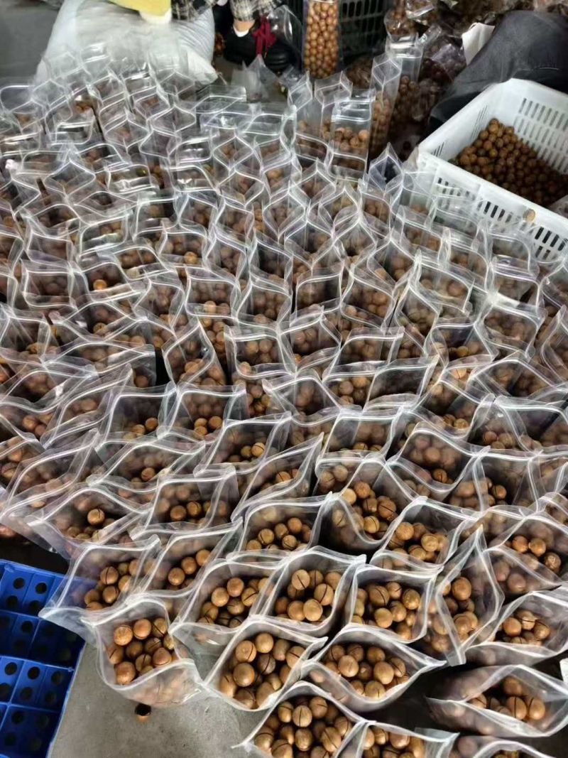夏威夷果支持一件代发价格优势大