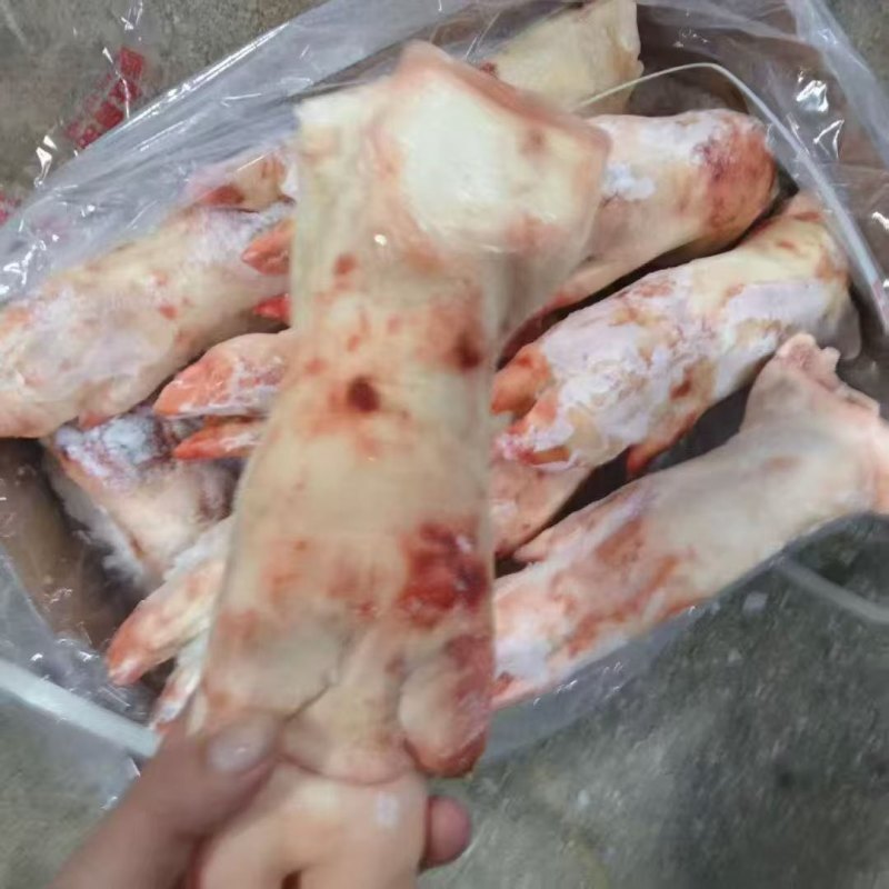 母猪二级猪蹄13个左右5吨左右1万＋