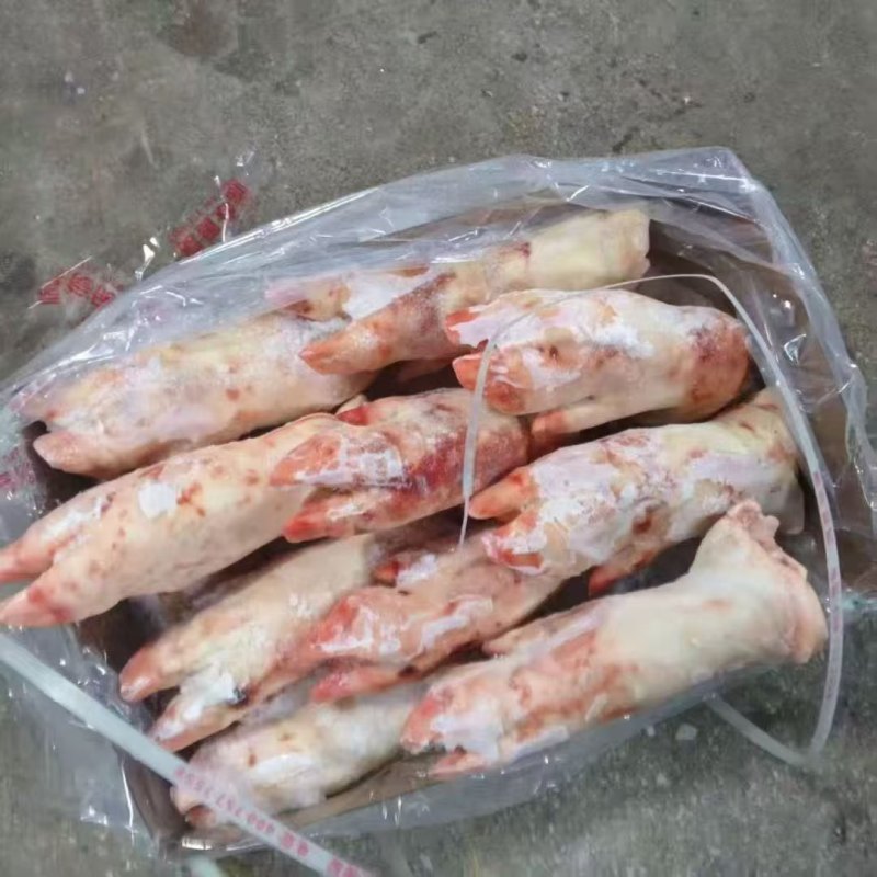 母猪二级猪蹄13个左右5吨左右1万＋