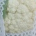 花菜大量供应，保质量代发代办。