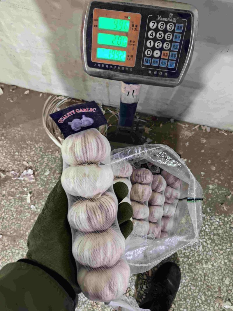 金乡大蒜市场货5头/包