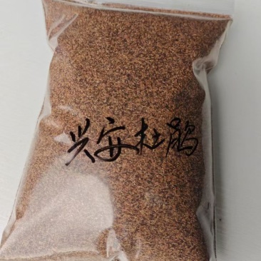 兴安杜鹃种子