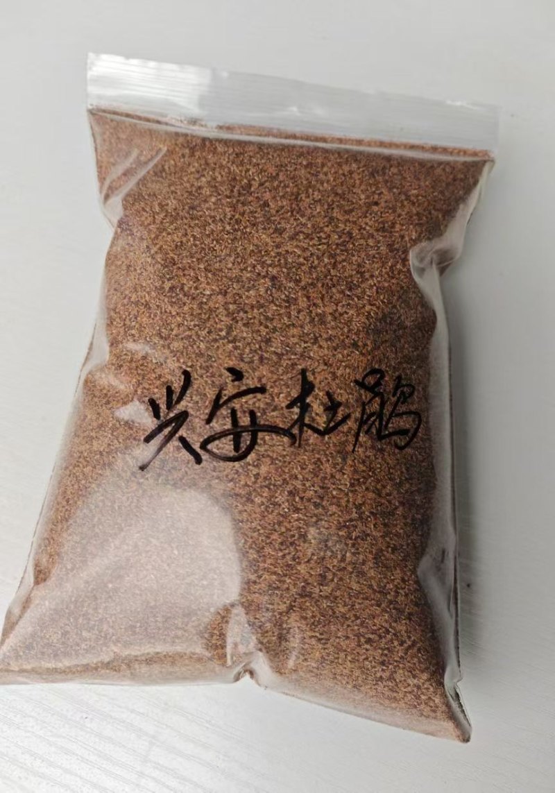 兴安杜鹃种子