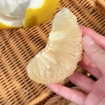 年货高山老树沙田柚批发
